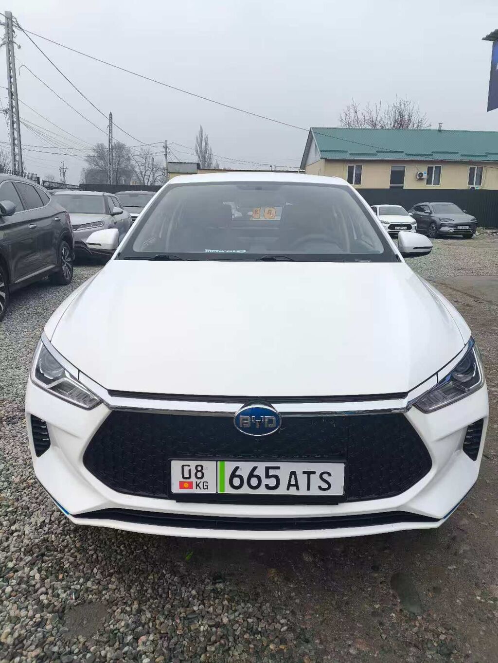 BYD E2