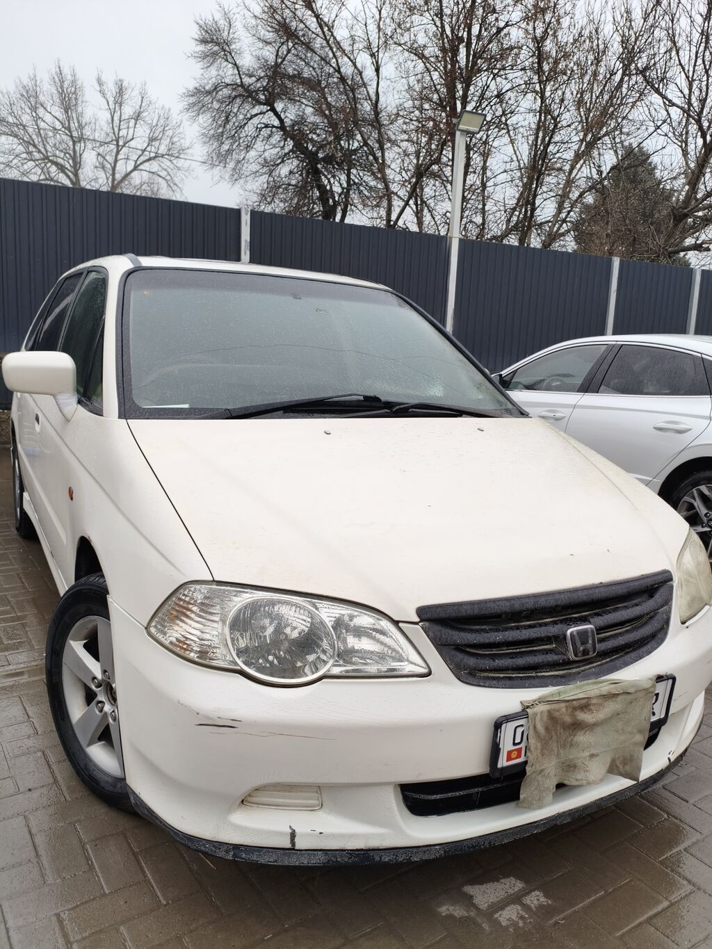 Honda Orthia
