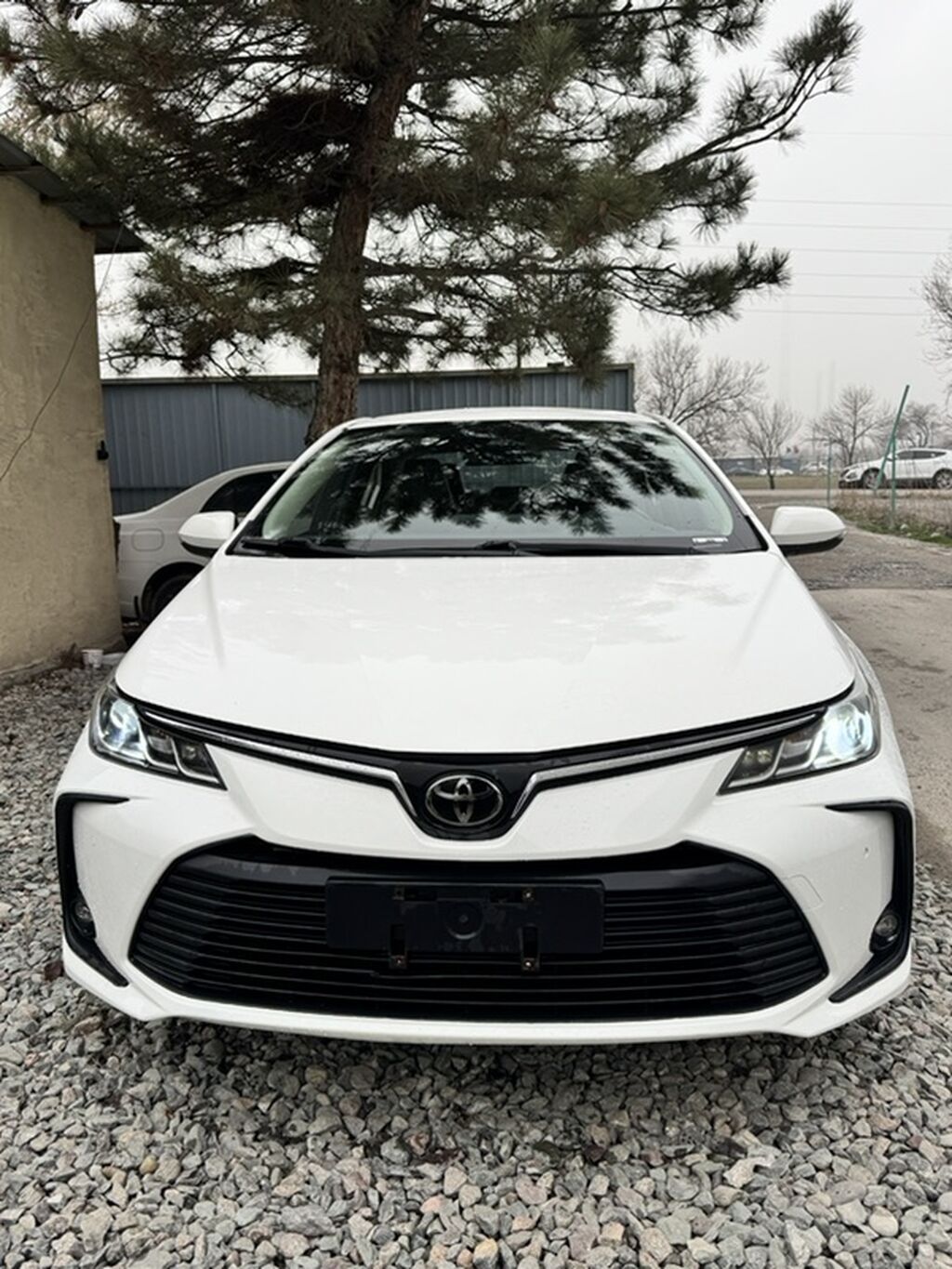 Фото 2