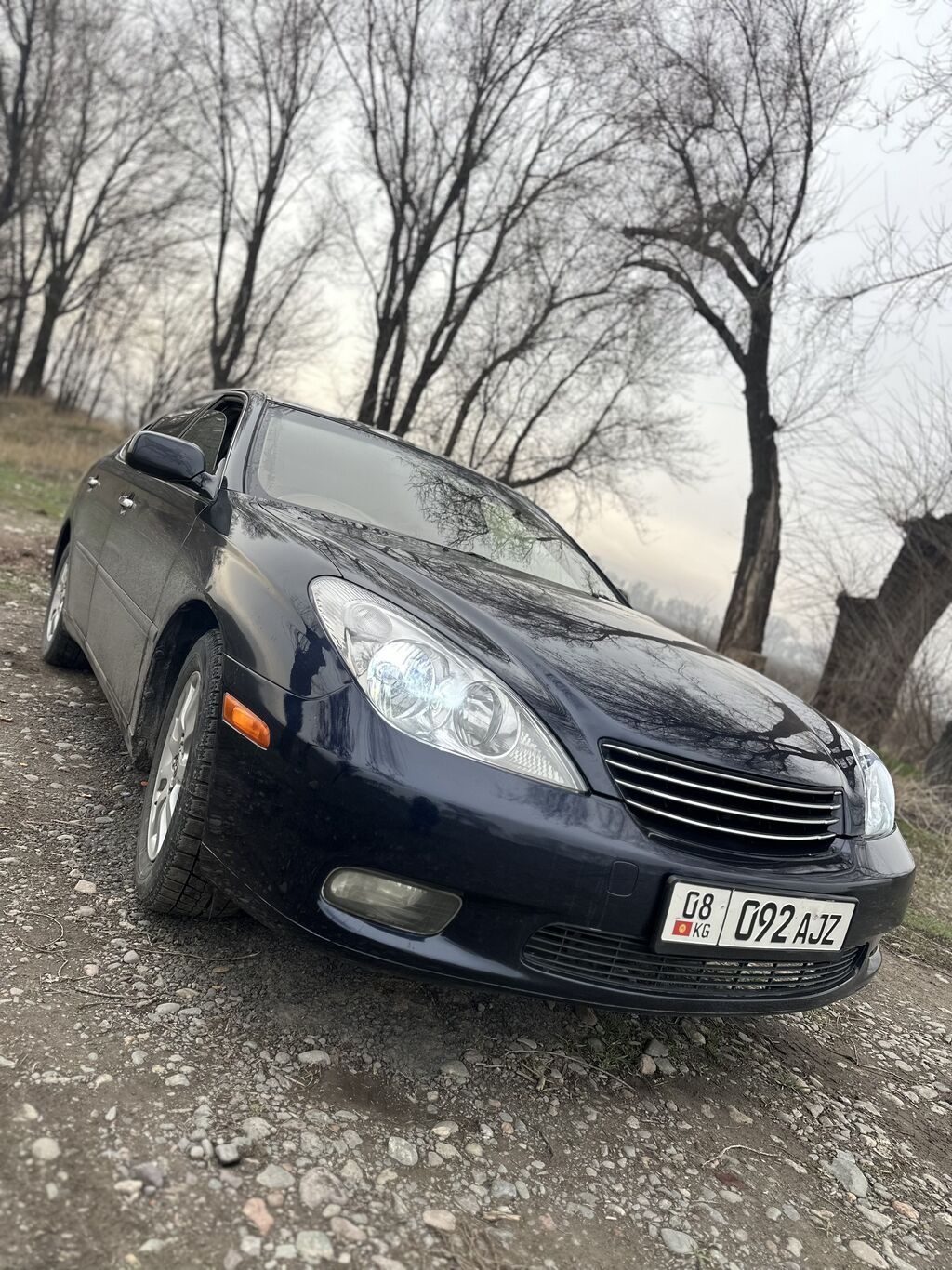 Toyota Windom