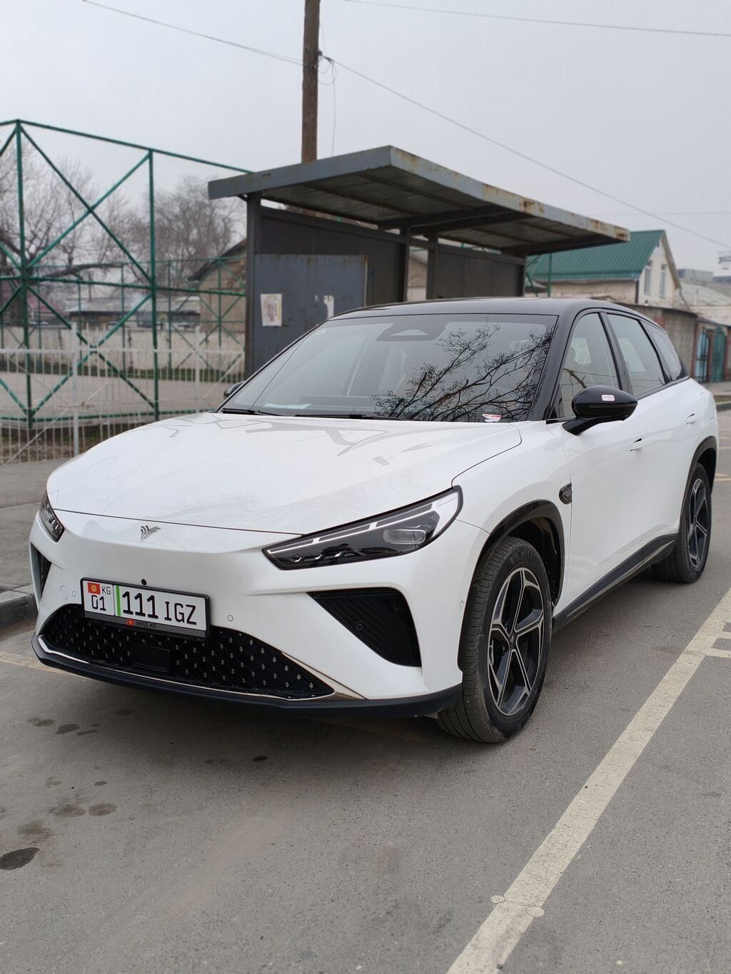 BYD 