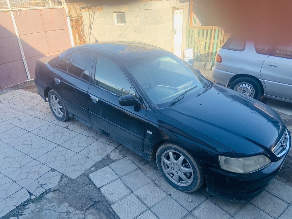 Фото 4