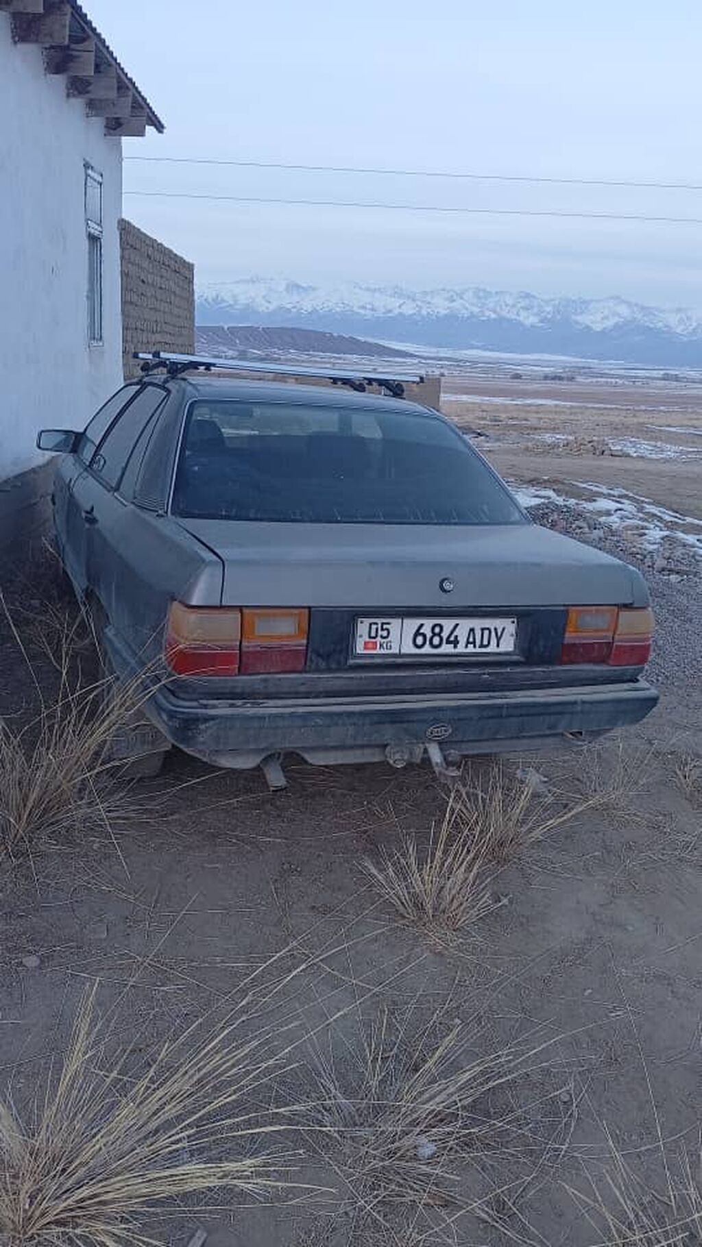 Audi 100