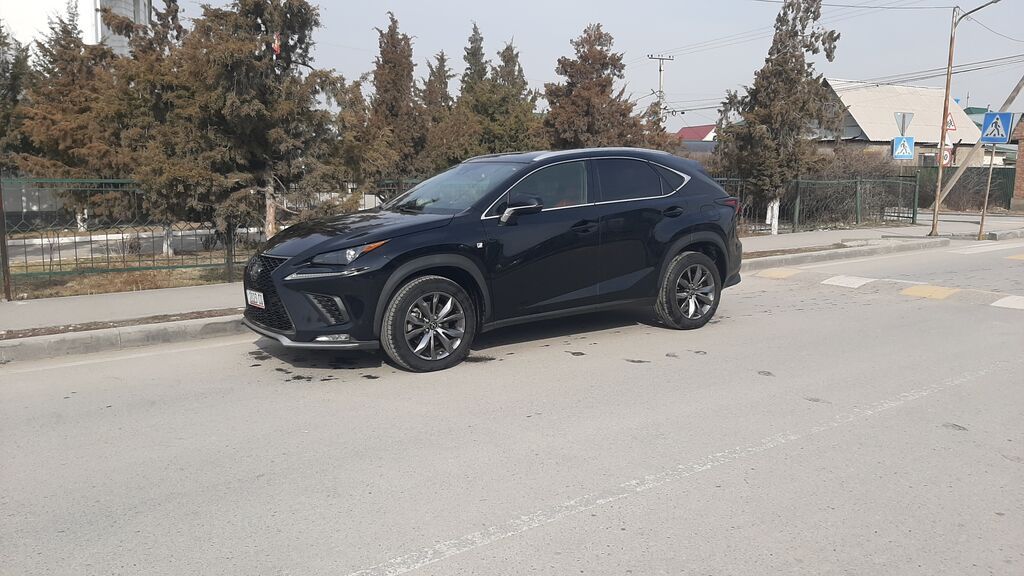 Lexus NX