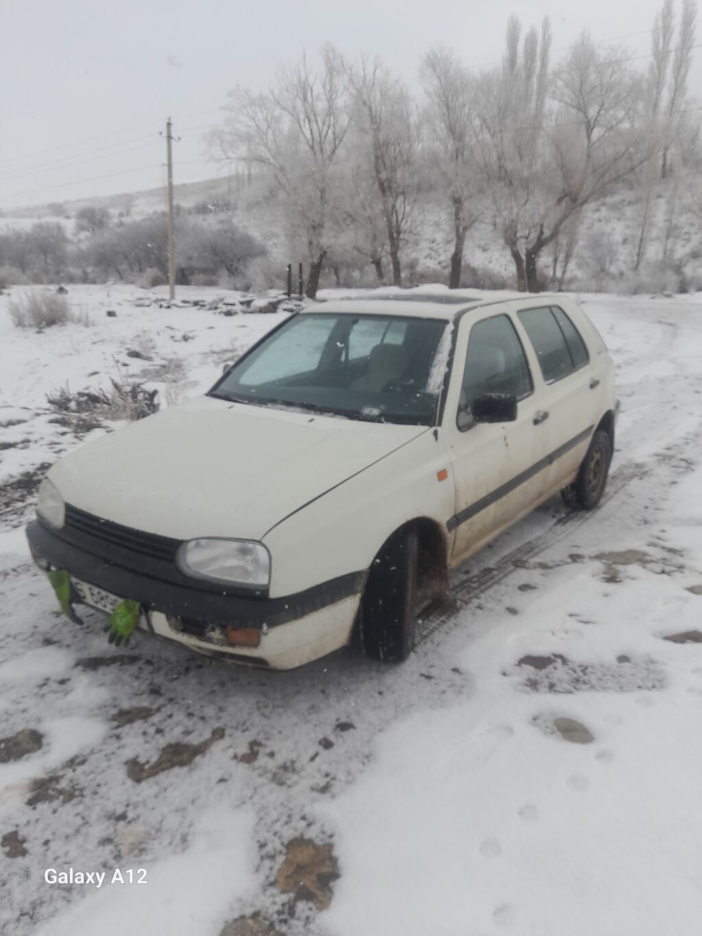 Volkswagen Golf V