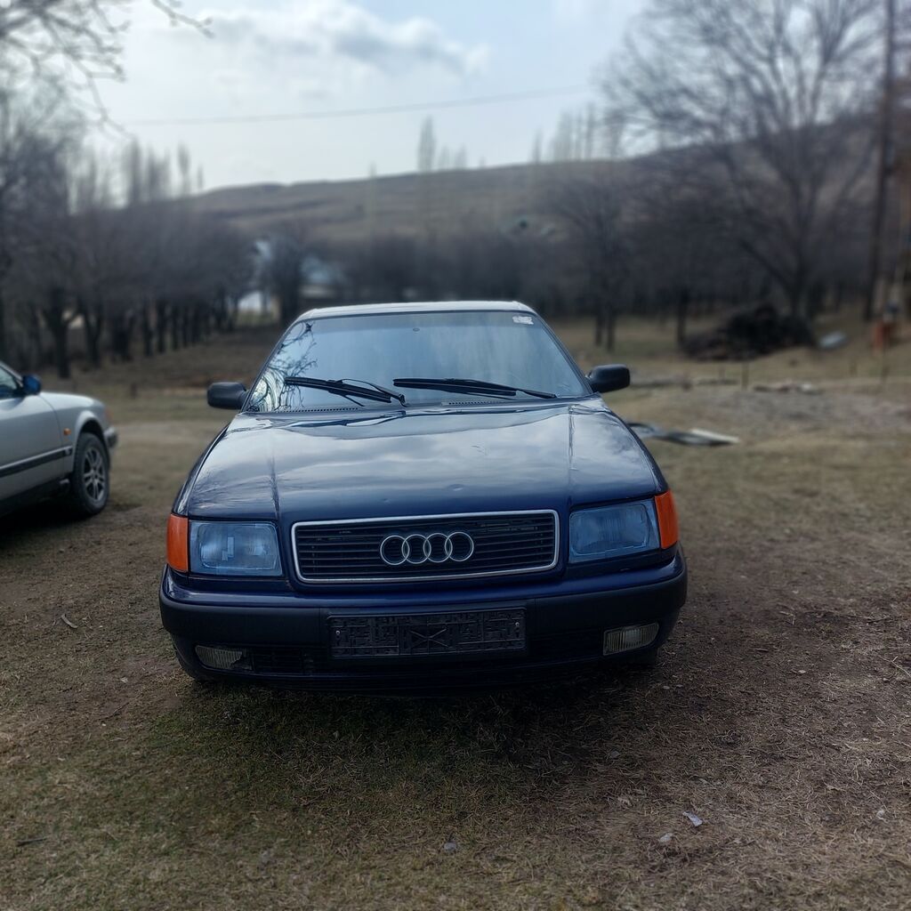 Audi 100