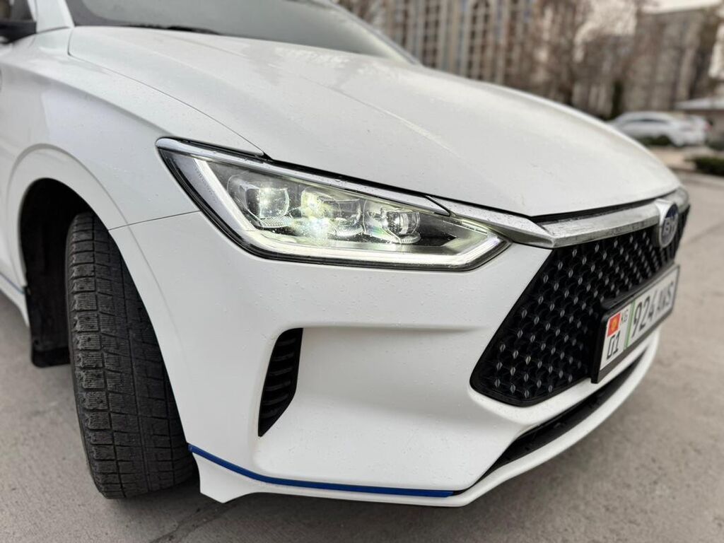 BYD E2