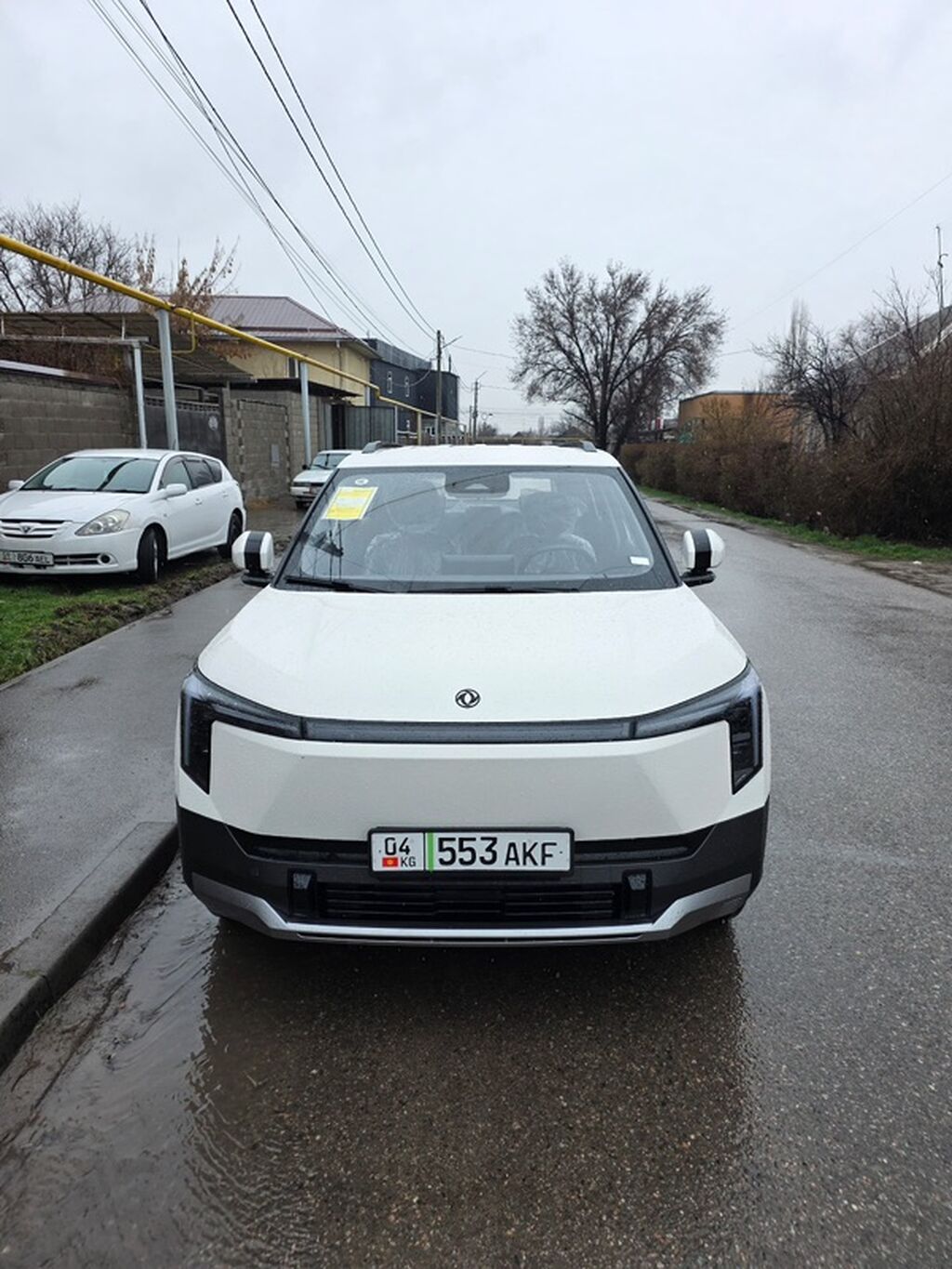 Dongfeng 