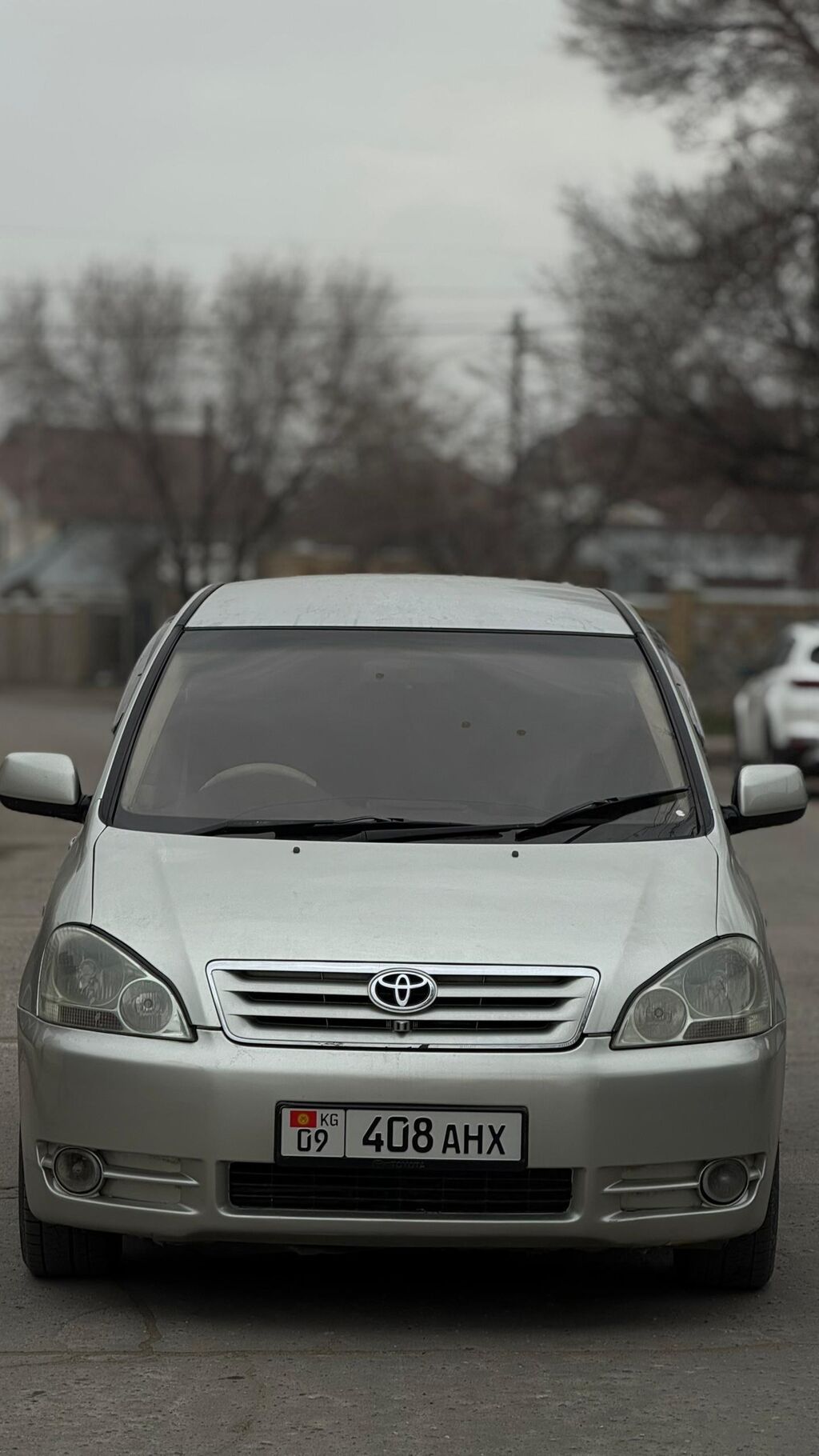 Toyota Ipsum