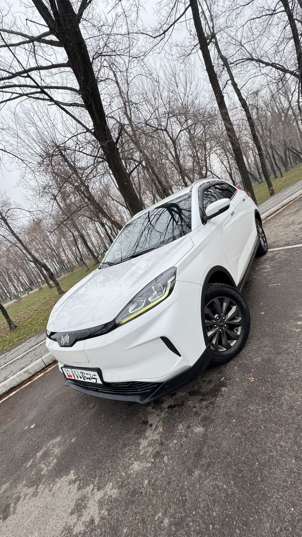 Weltmeister EX5, 2020 г., Передний