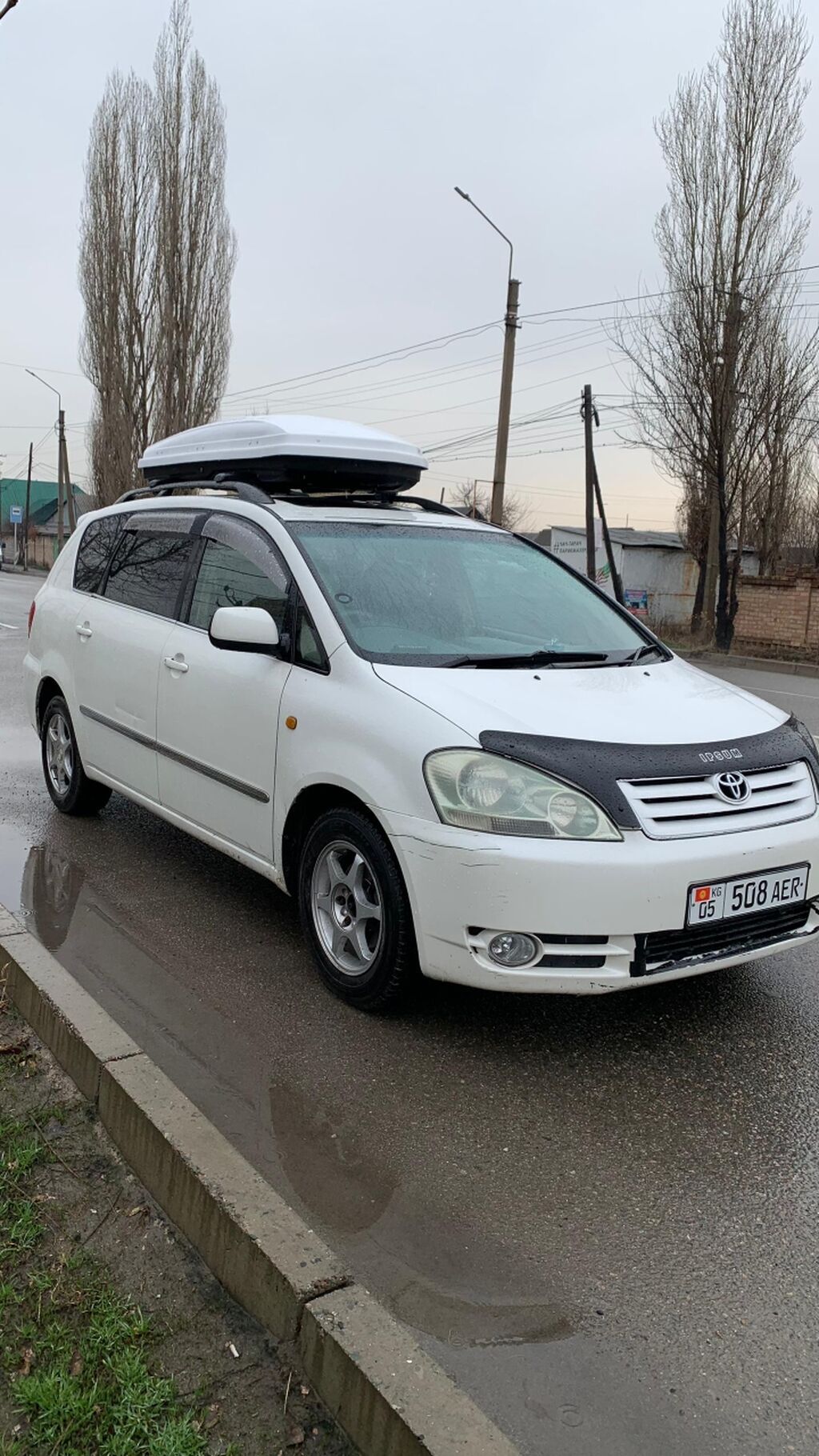 Toyota Ipsum