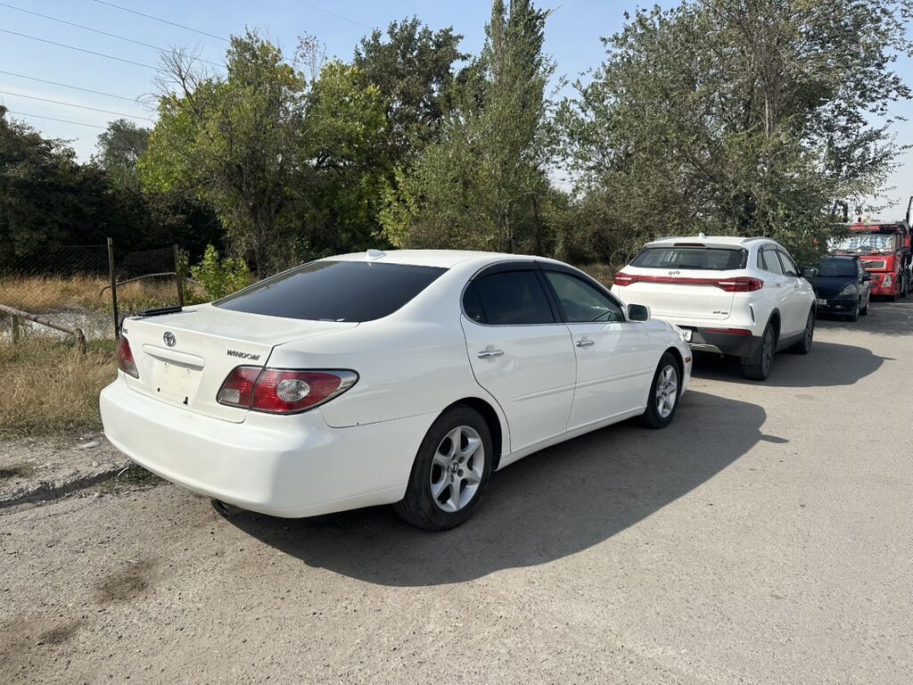 Toyota Windom