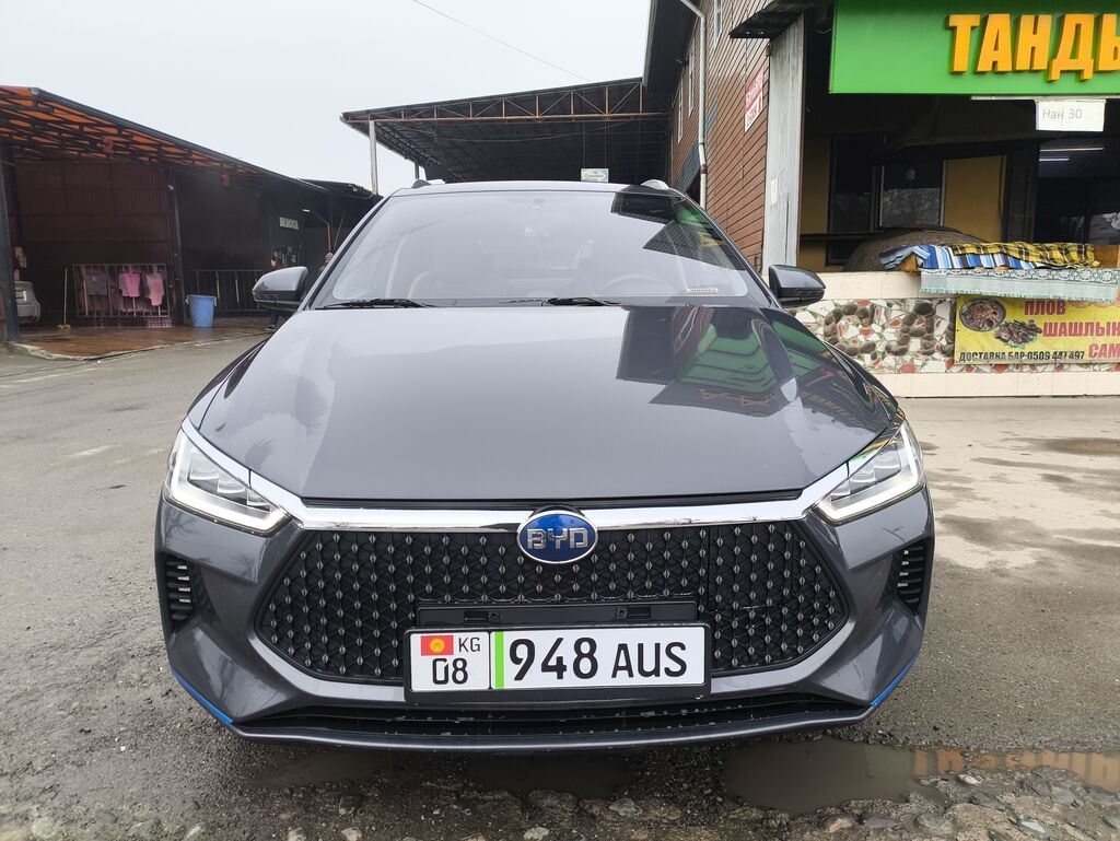 BYD E2