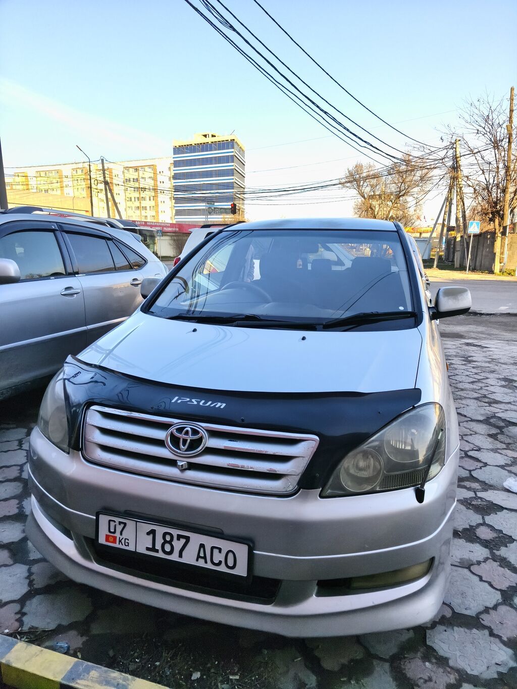 Toyota Ipsum