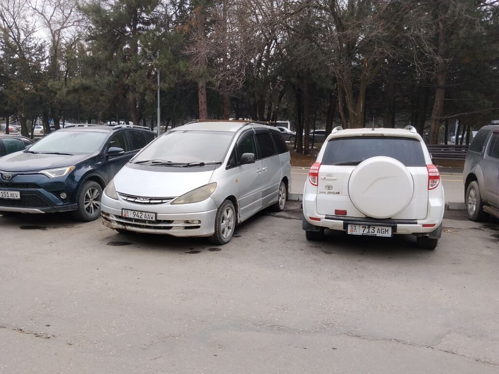 Toyota Estima