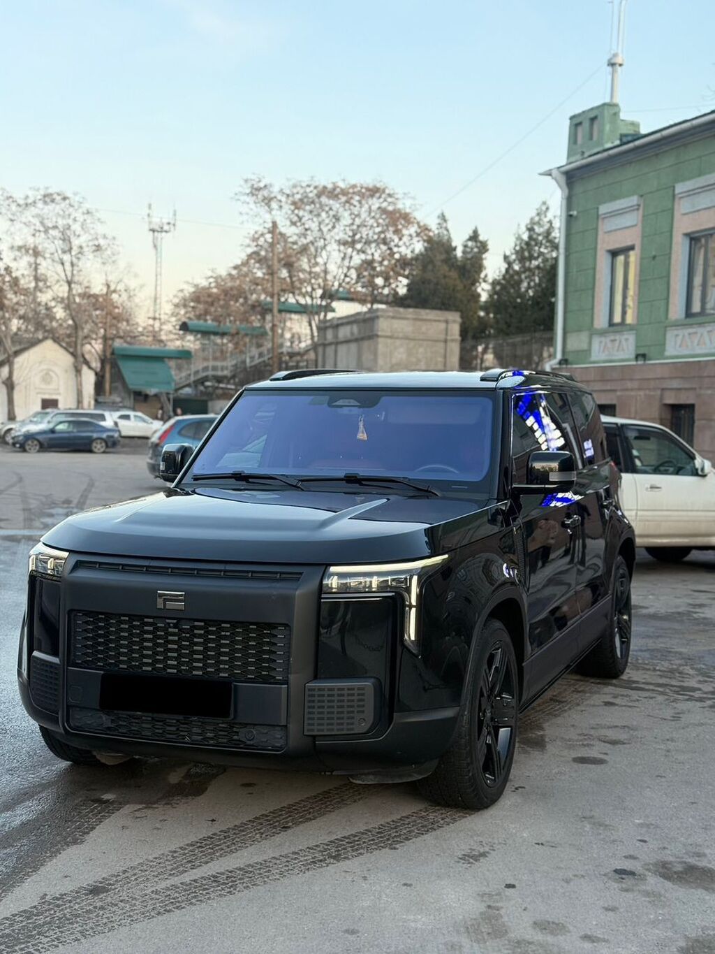 Polarstone 01 (ROX 01) Год