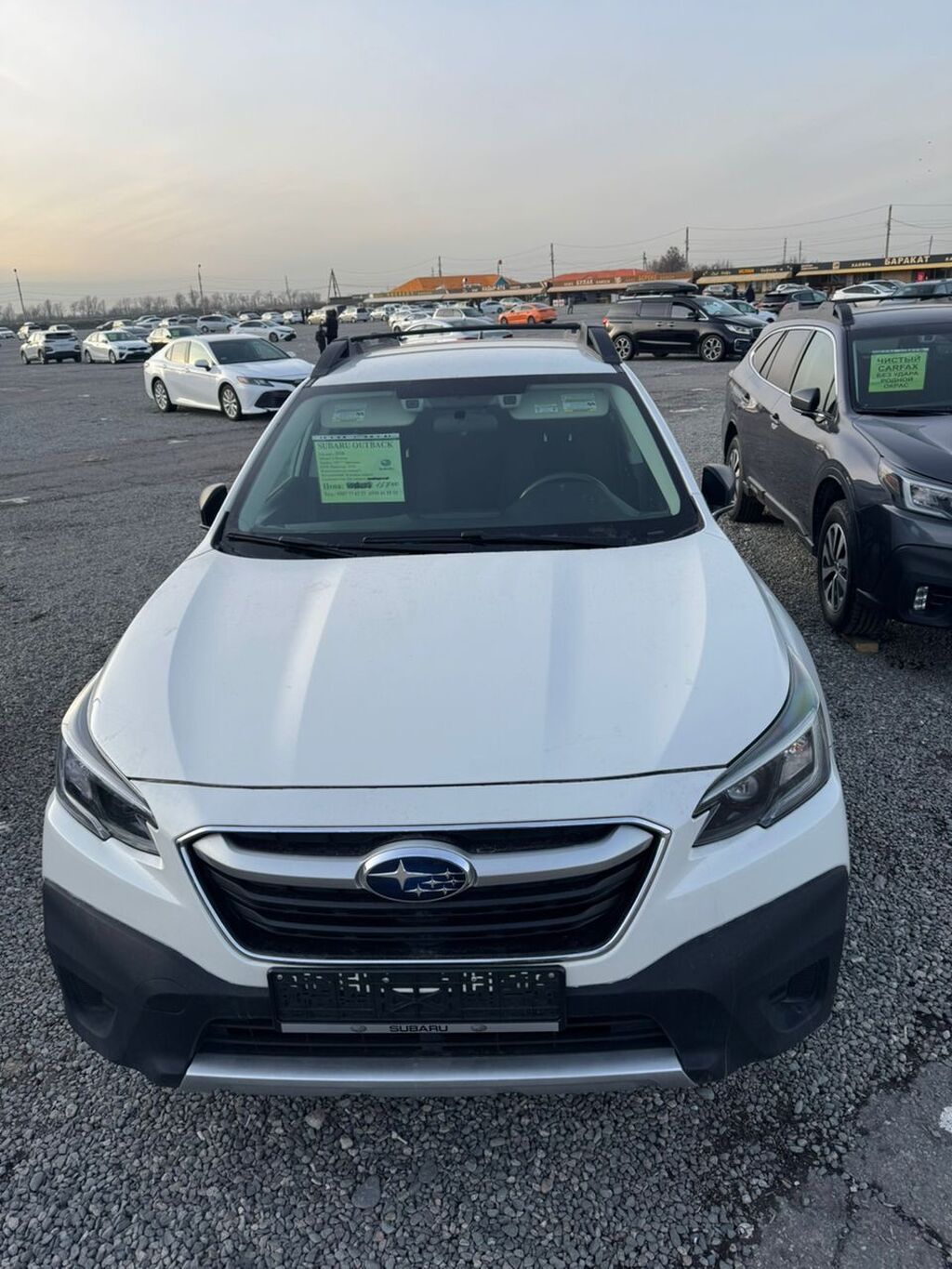 Subaru Outback