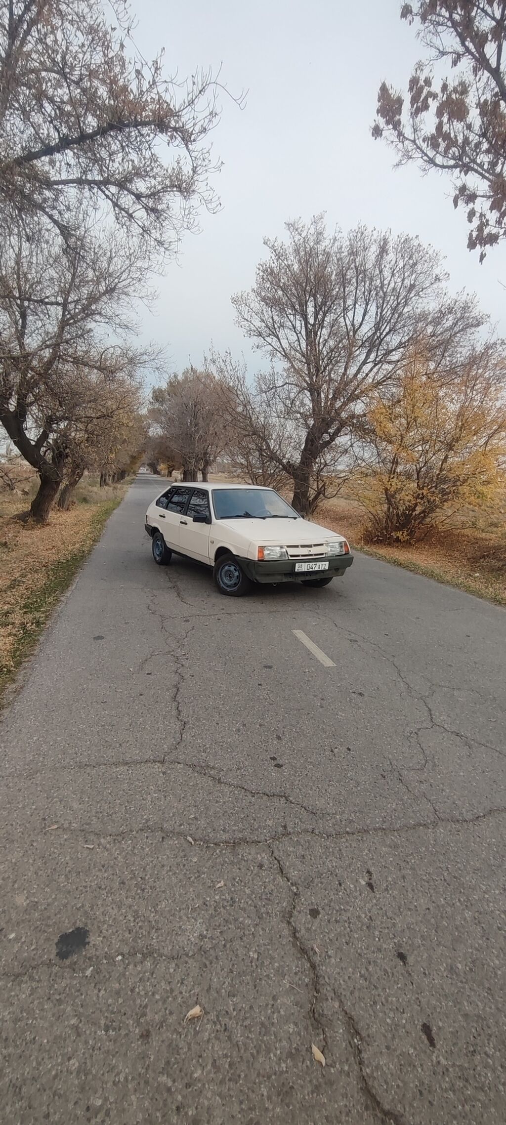 ВАЗ (ЛАДА) 2109