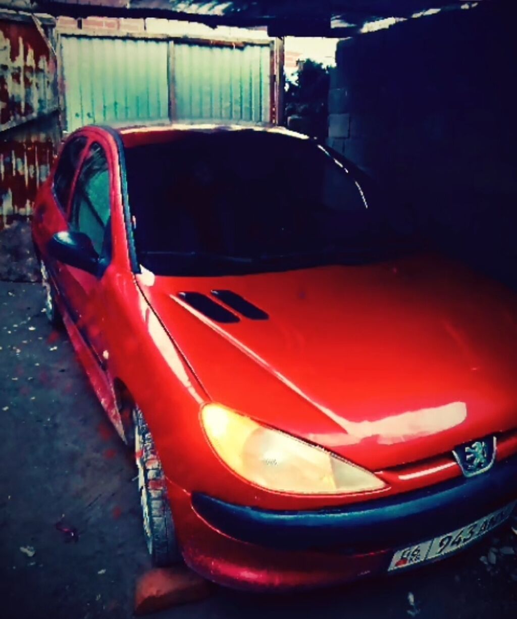 Peugeot 206
