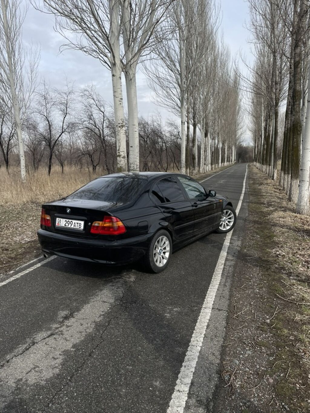 Фото 4