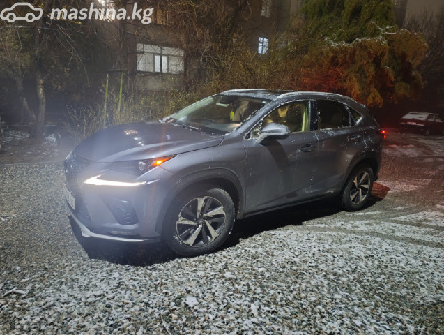 Lexus NX