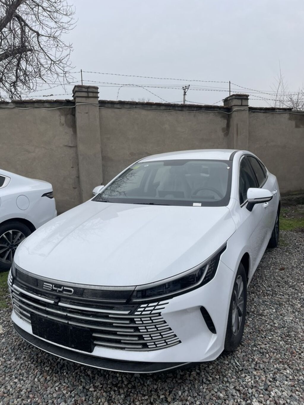 BYD Destroyer 05