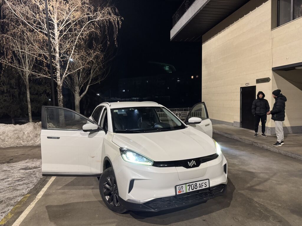 JMEV EX5