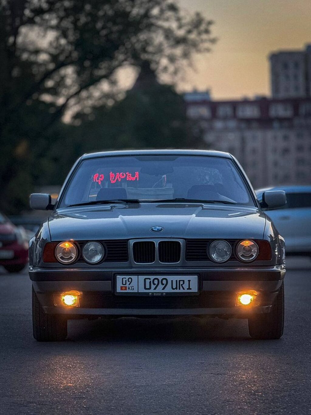 Фото 2