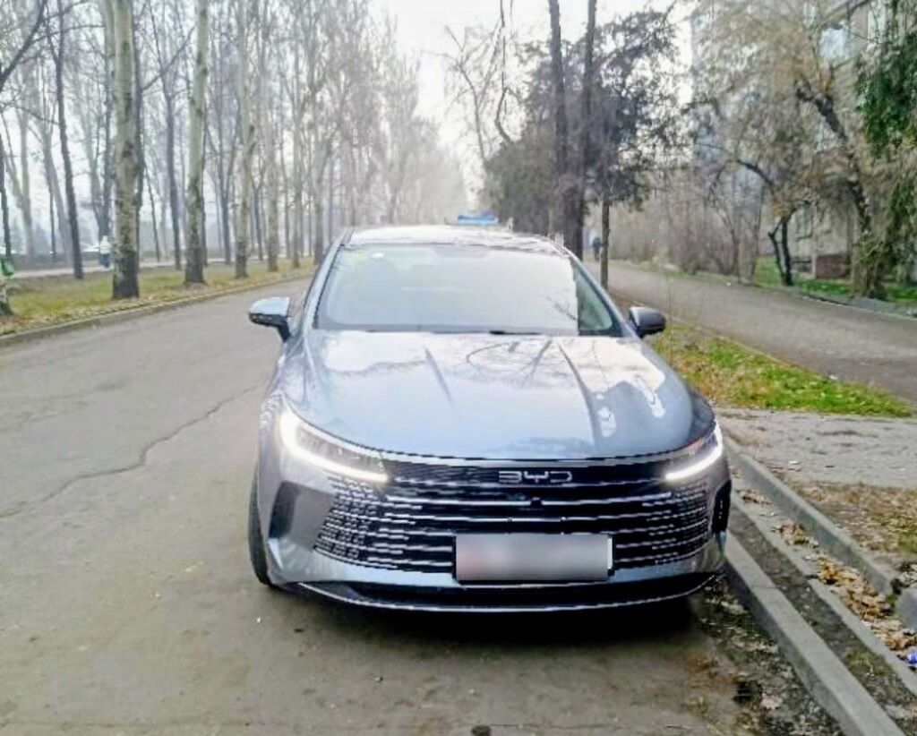 BYD Destroyer 05