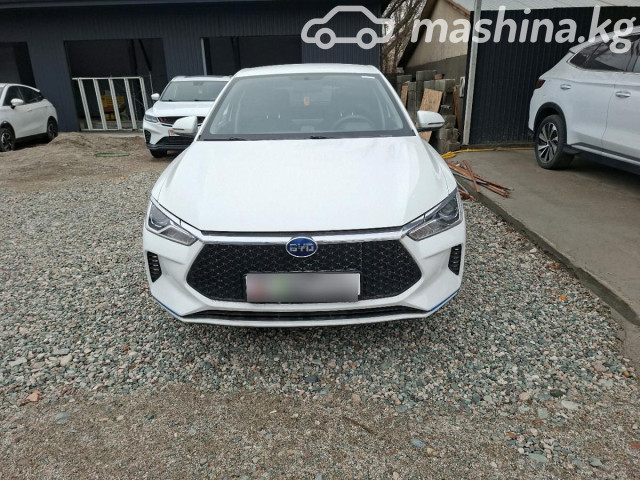 BYD E2