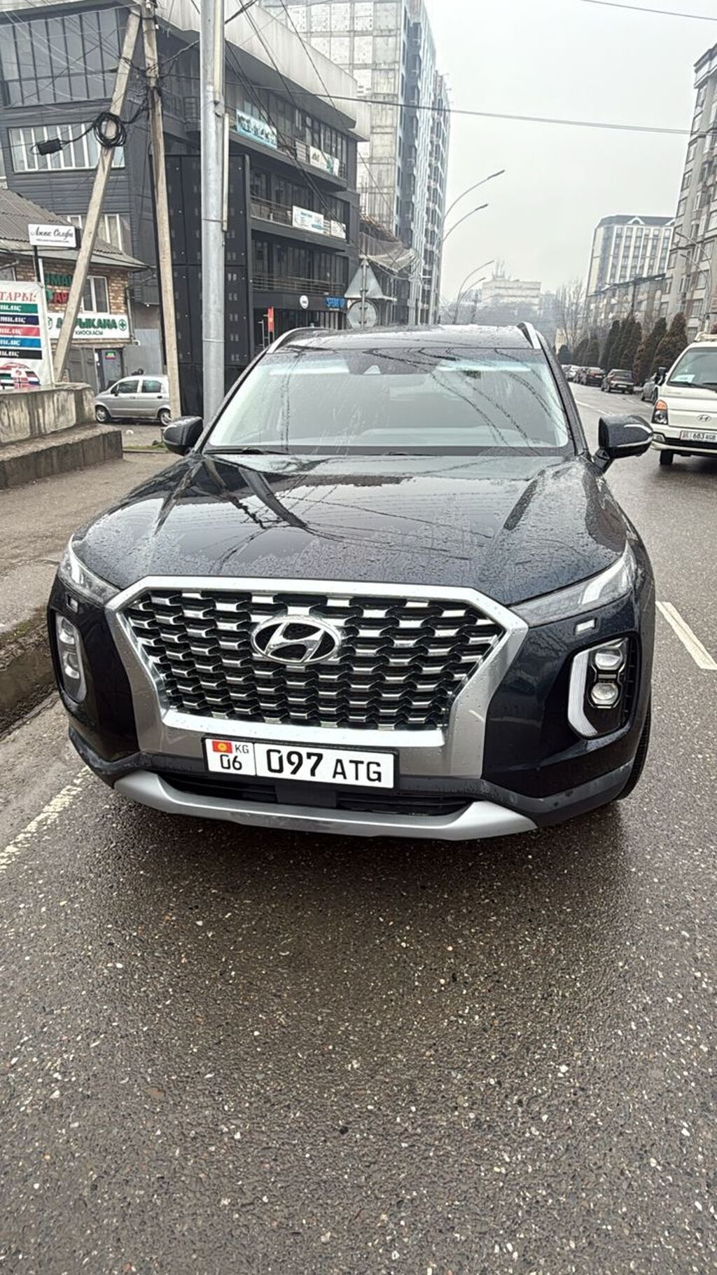 Hyundai Palisade
