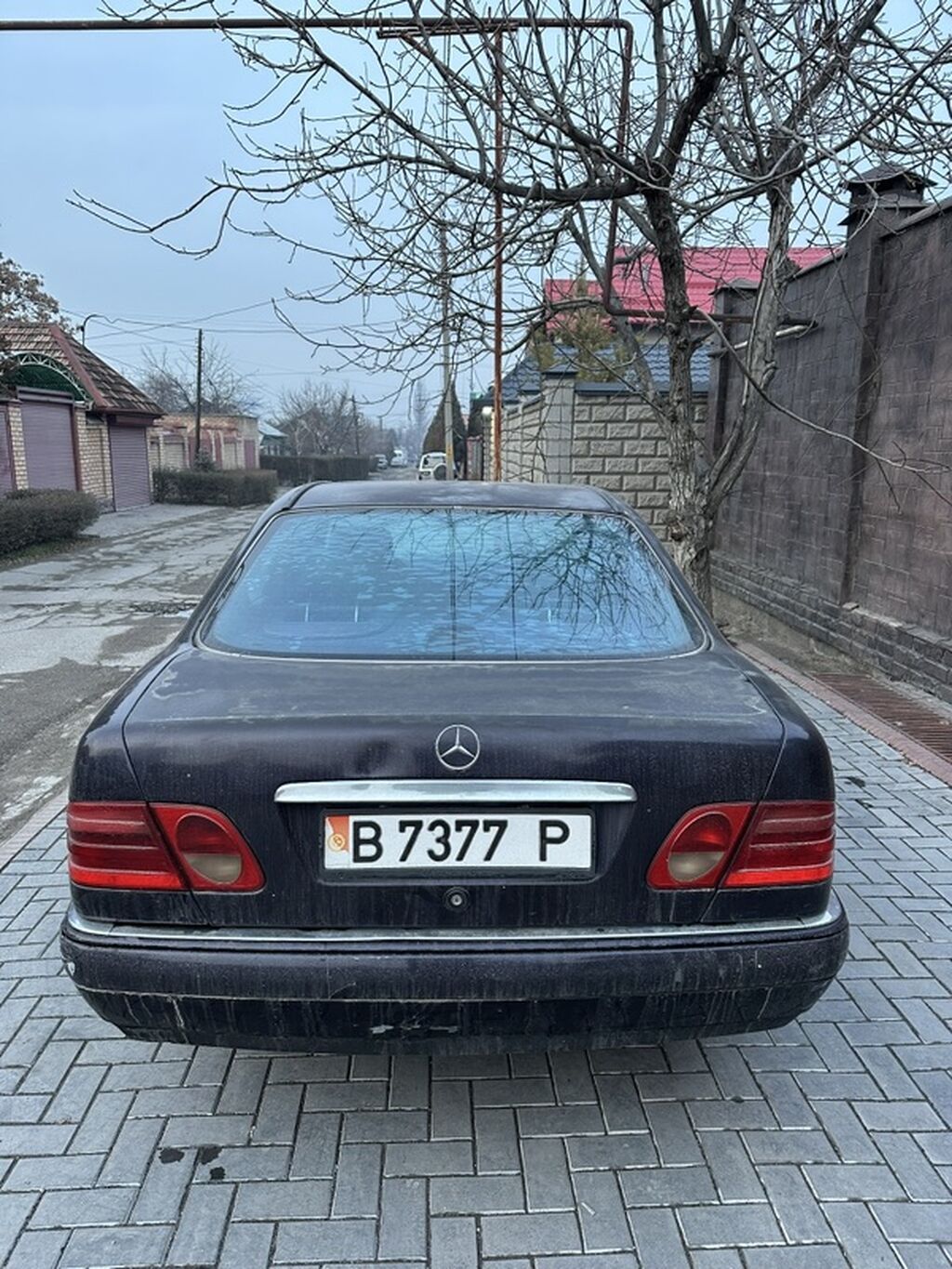 Фото 3