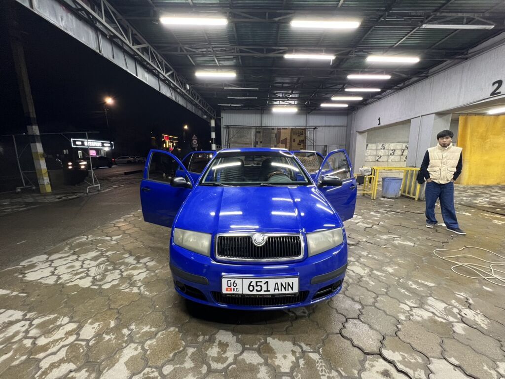 Skoda Fabia