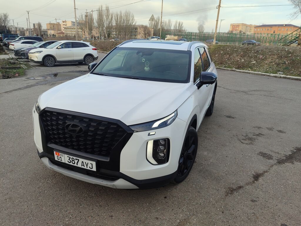 Hyundai Palisade