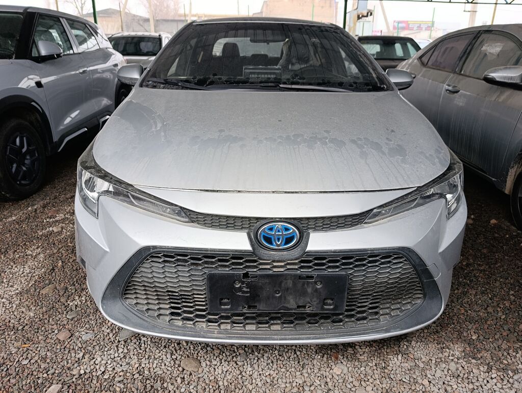 Toyota Levin