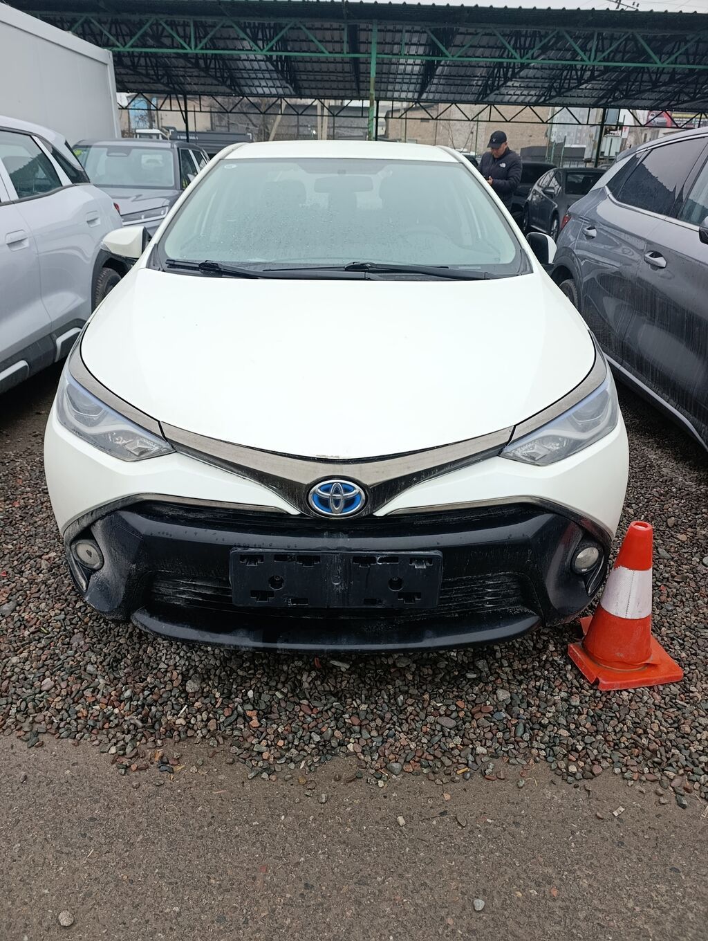 Toyota Levin