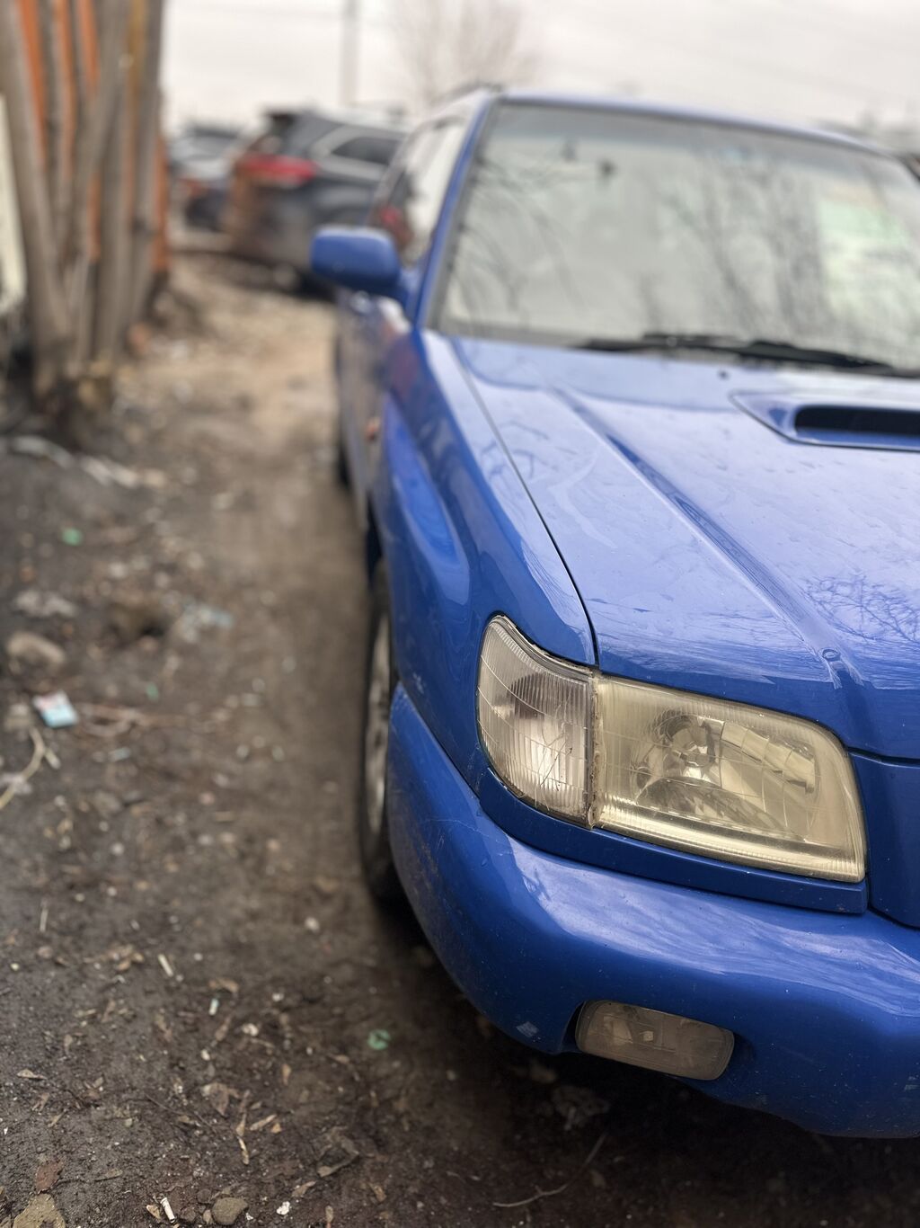 Фото 4