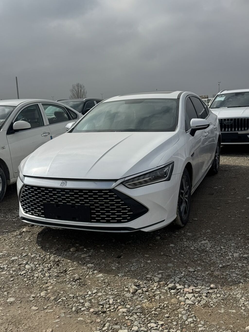 BYD Qin