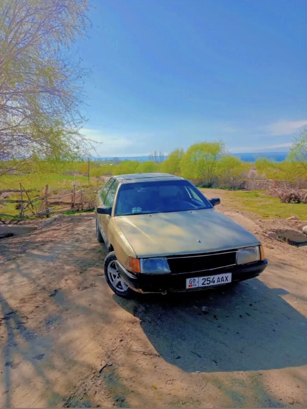 Audi 100