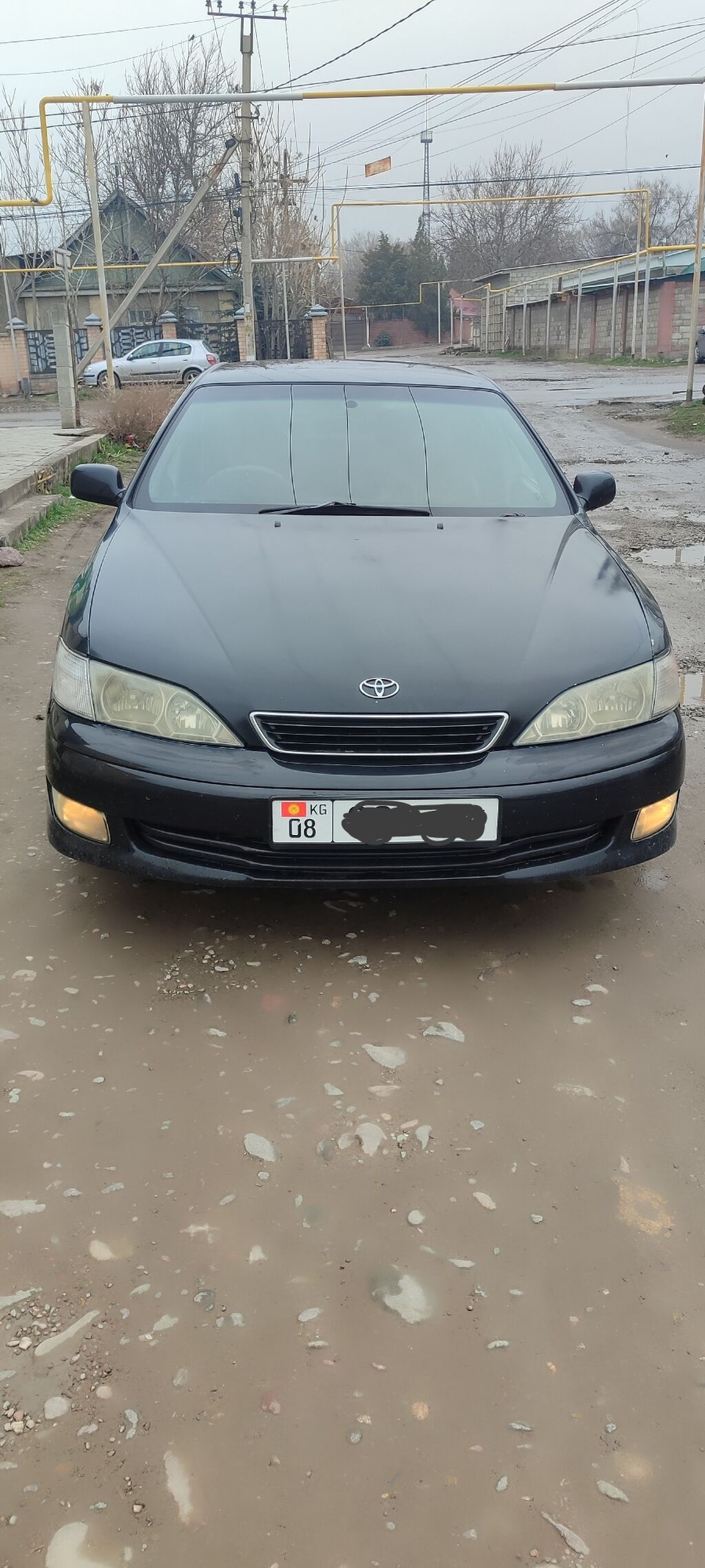 Toyota Windom
