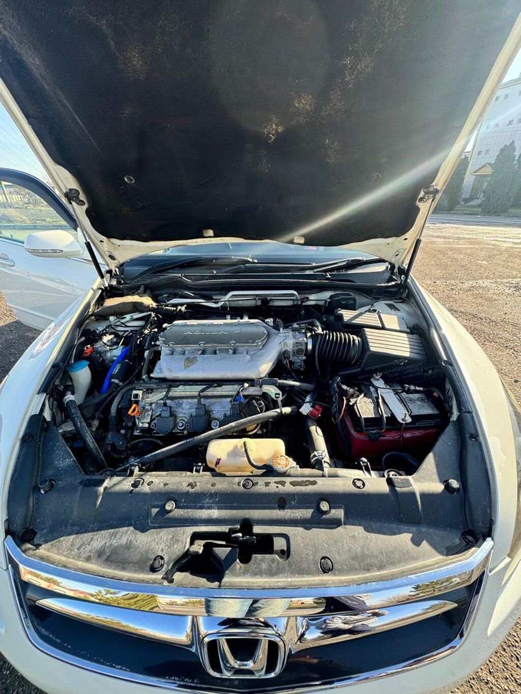 Фото 3