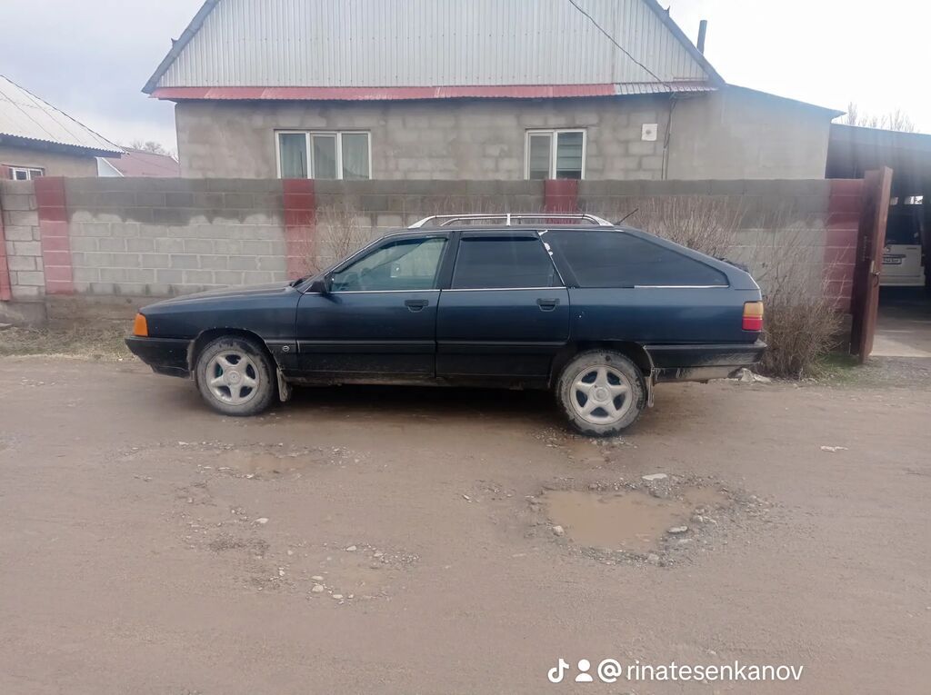 Audi 100