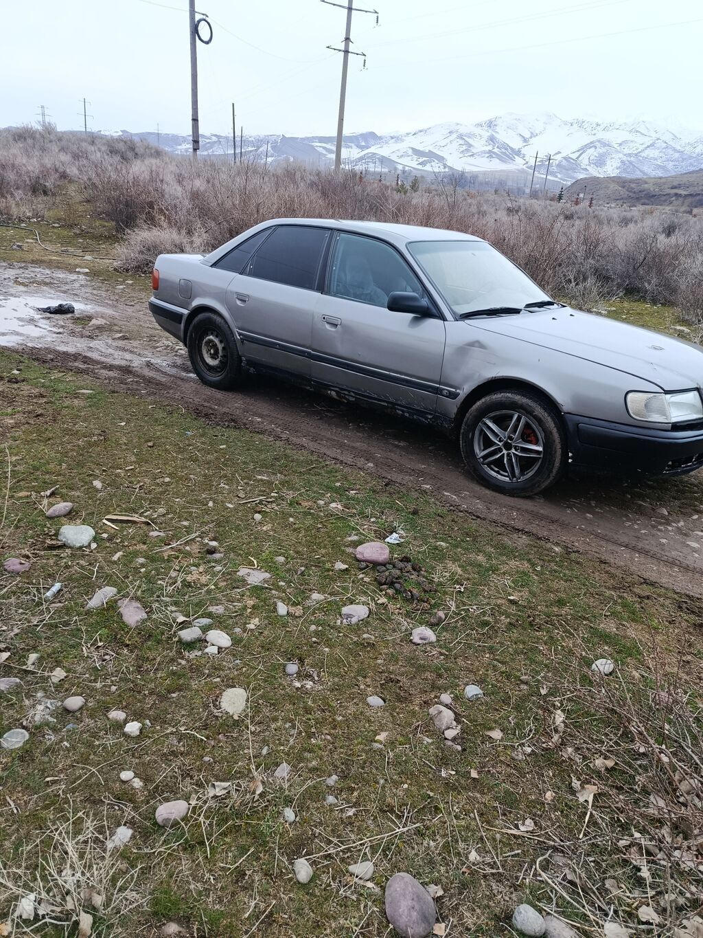 Audi 100