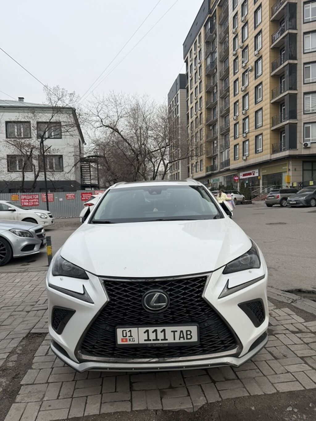 Lexus NX