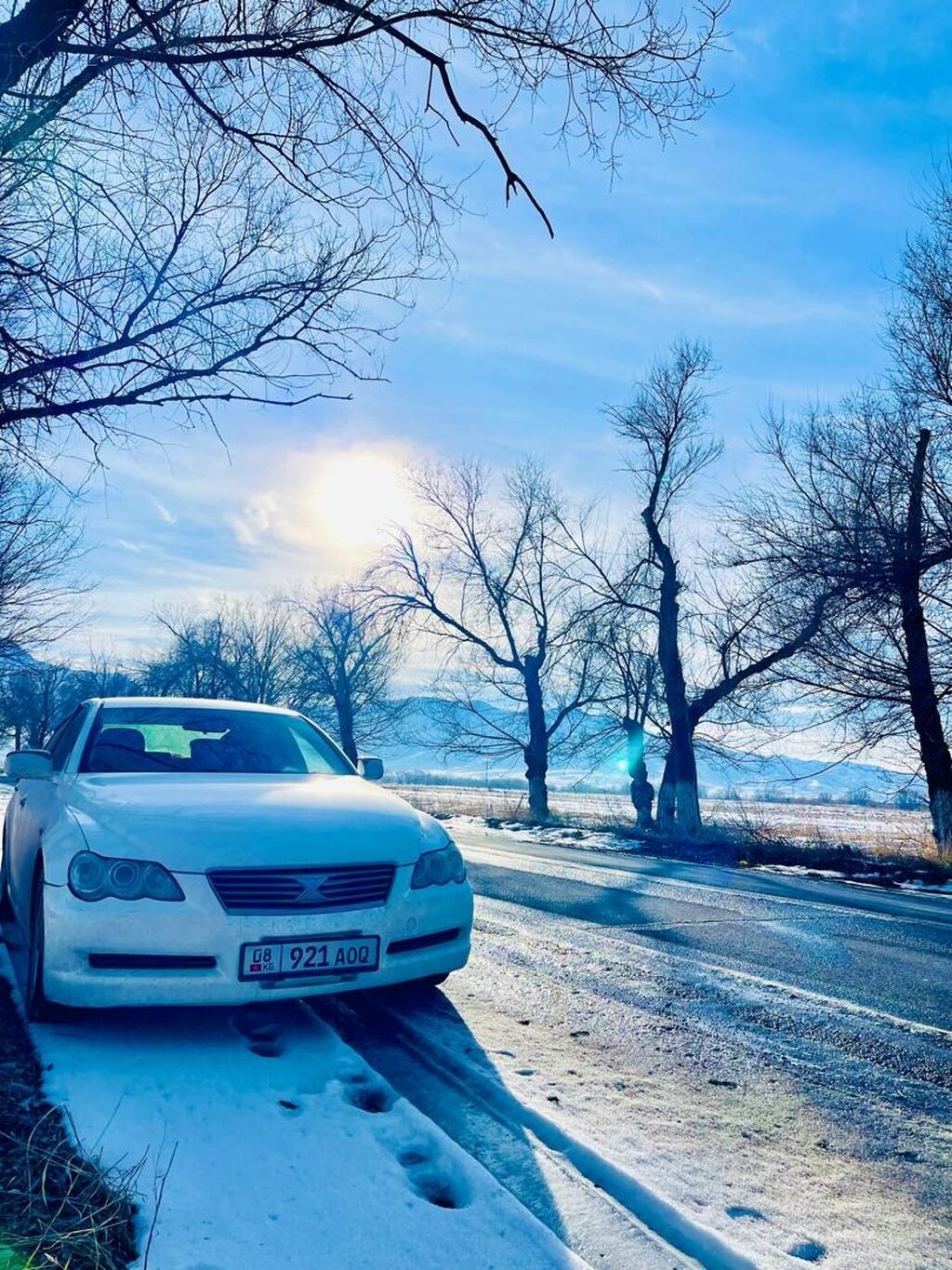Toyota Mark X