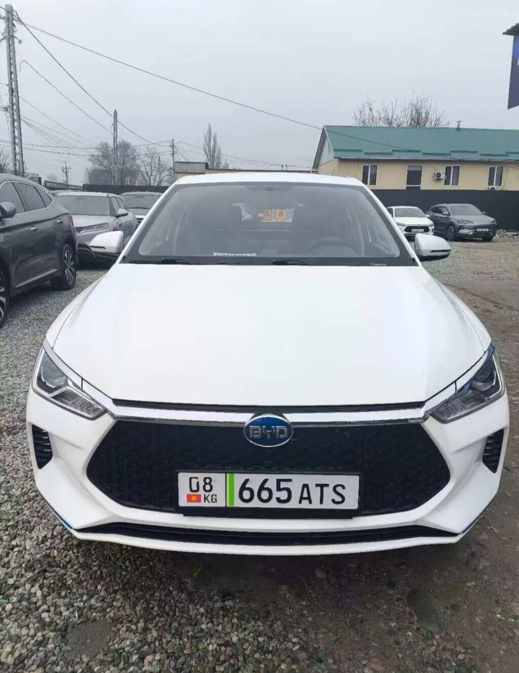 BYD E2