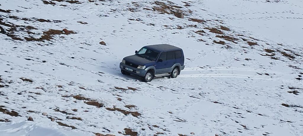 Toyota Land Cruiser Prado