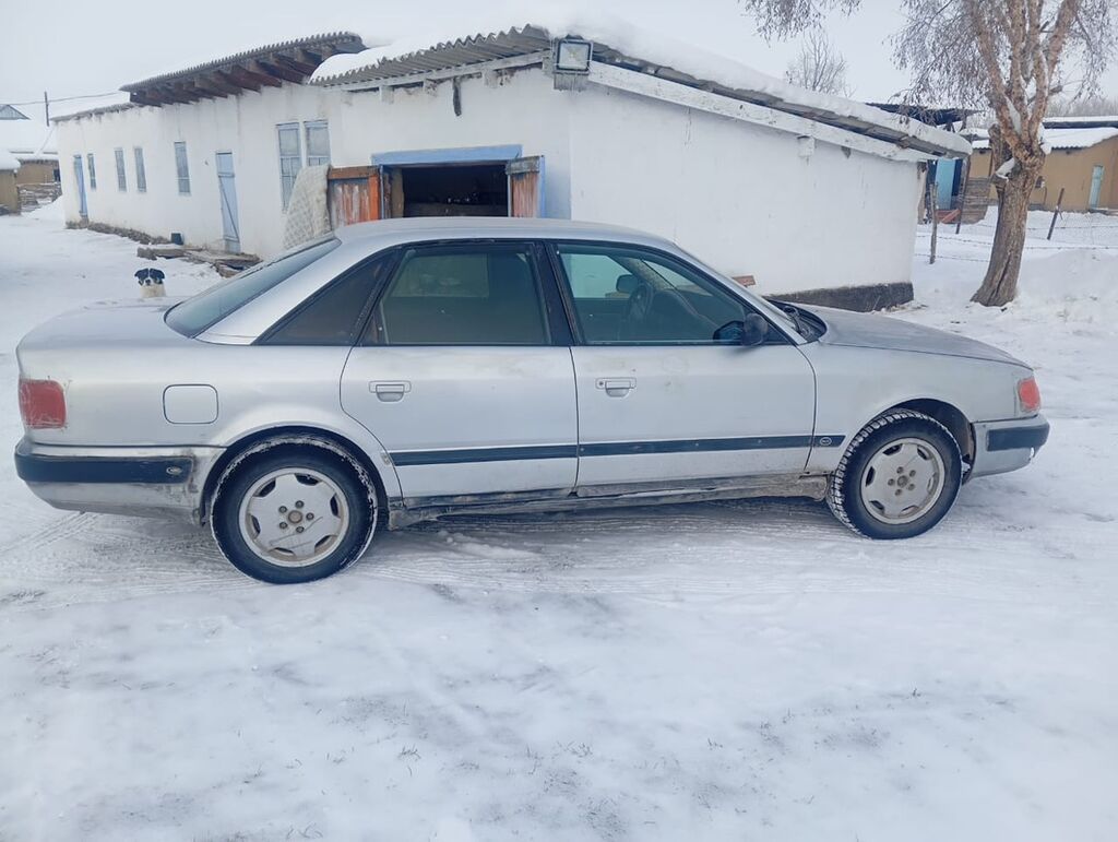 Audi 100