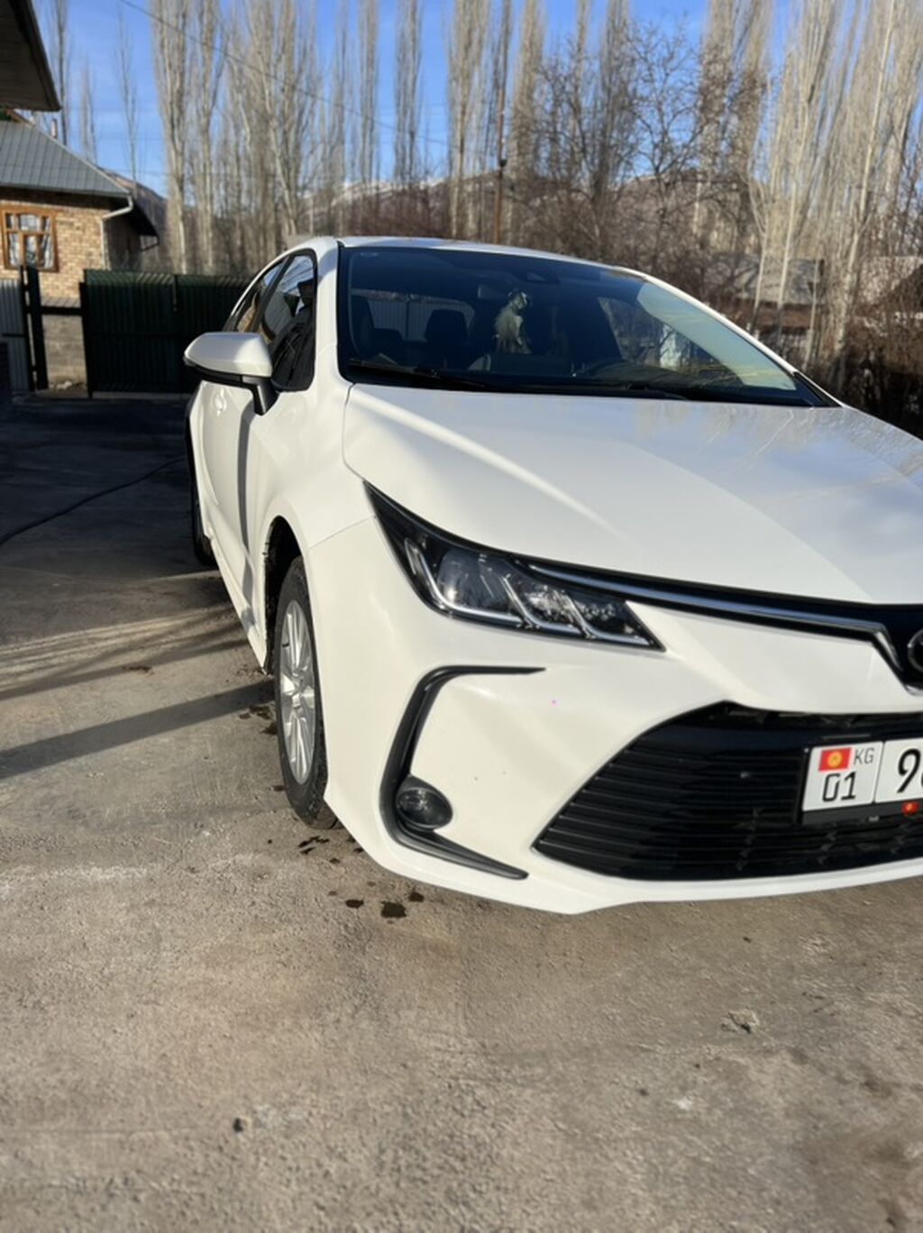 Фото 4