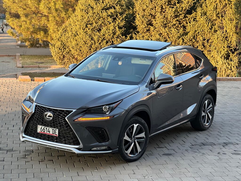 Lexus NX